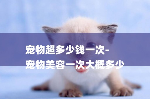 寵物超多少錢一次-
寵物美容一次大概多少