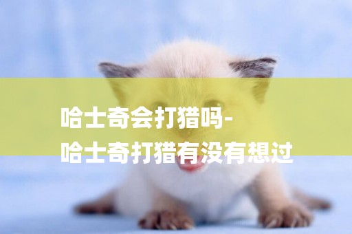 哈士奇會打獵嗎-
哈士奇打獵有沒有想過