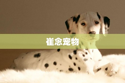 崔念寵物