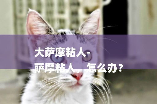 大薩摩粘人-
薩摩粘人，怎么辦？