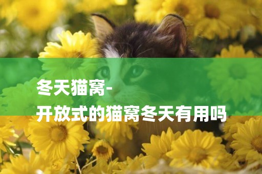 冬天貓窩-
開放式的貓窩冬天有用嗎