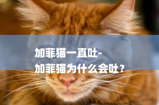 加菲貓一直吐-
加菲貓為什么會吐？