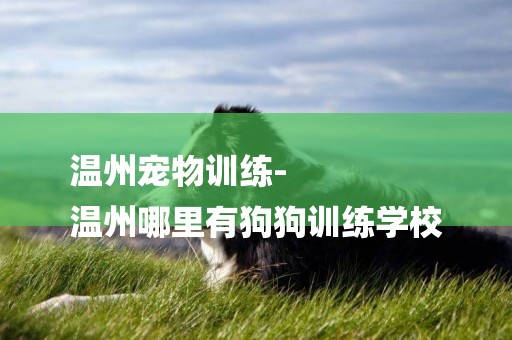 溫州寵物訓練-
溫州哪里有狗狗訓練學校