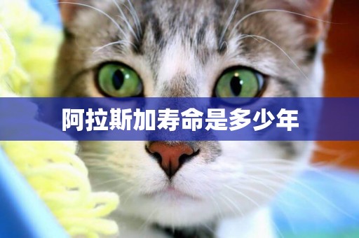 阿拉斯加壽命是多少年