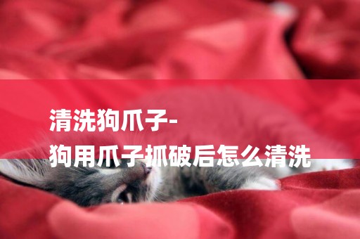 清洗狗爪子-
狗用爪子抓破后怎么清洗