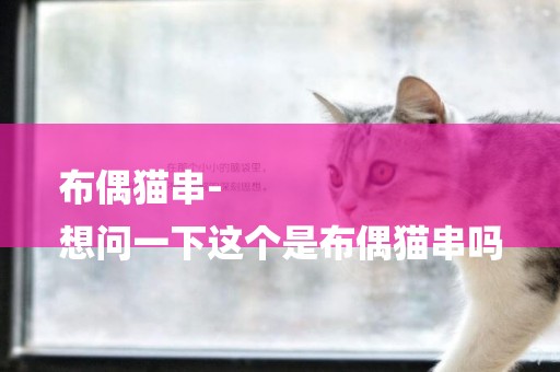 布偶貓串-
想問一下這個是布偶貓串嗎