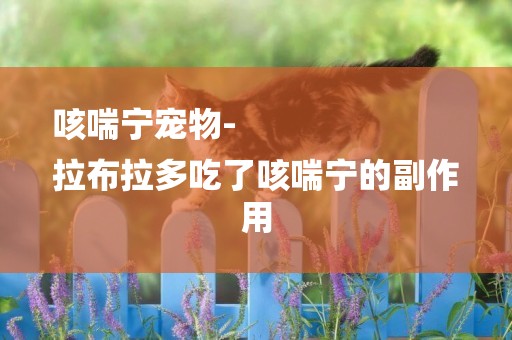 咳喘寧寵物-
拉布拉多吃了咳喘寧的副作用