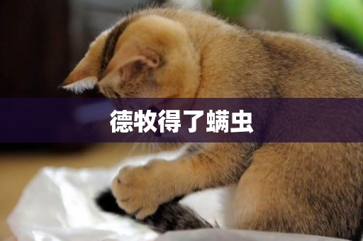 德牧得了螨蟲