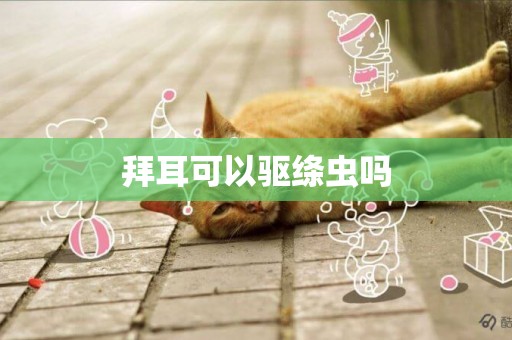 拜耳可以驅絳蟲嗎