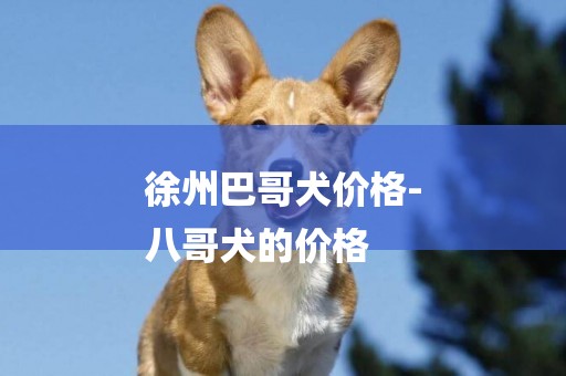 徐州巴哥犬價格-
八哥犬的價格