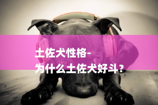 土佐犬性格-
為什么土佐犬好斗？