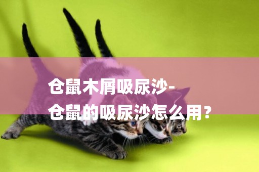 倉鼠木屑吸尿沙-
倉鼠的吸尿沙怎么用？