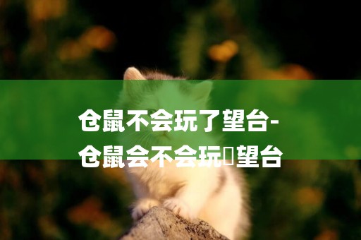 倉鼠不會玩了望臺-
倉鼠會不會玩瞭望臺