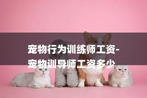 寵物行為訓練師工資-
寵物訓導師工資多少