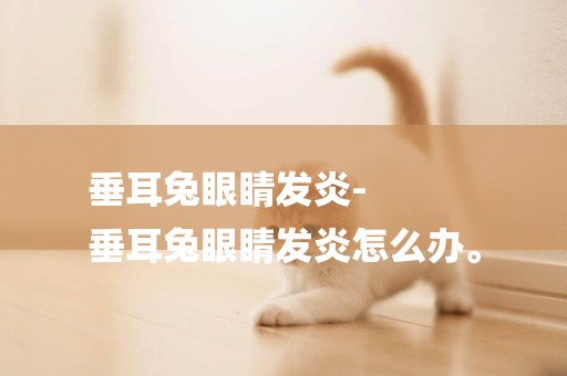 垂耳兔眼睛發炎-
垂耳兔眼睛發炎怎么辦。