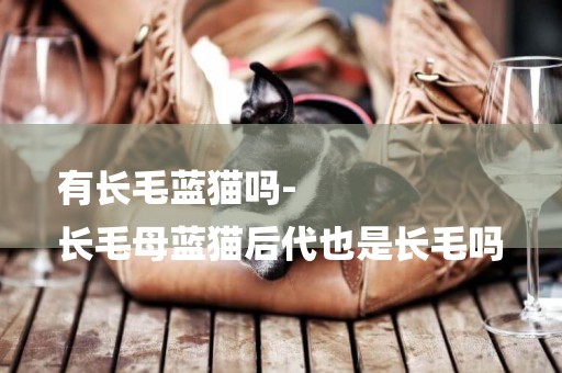 有長毛藍貓嗎-
長毛母藍貓后代也是長毛嗎