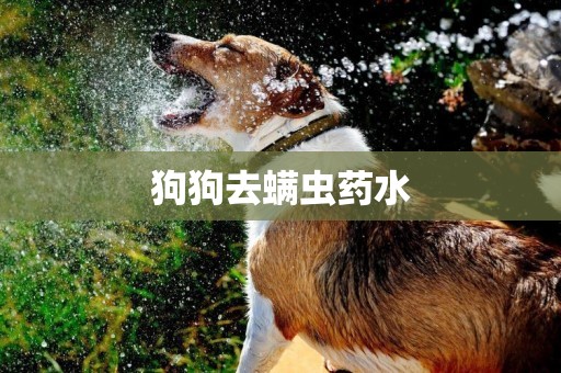 狗狗去螨蟲藥水