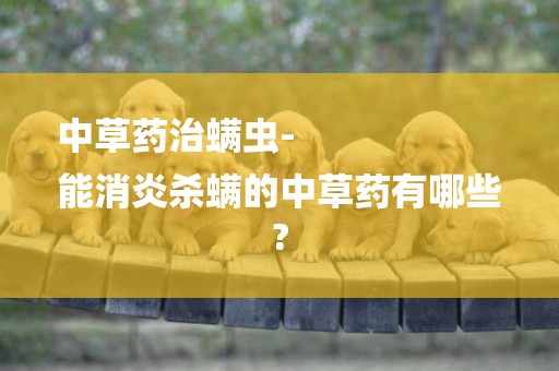 中草藥治螨蟲-
能消炎殺螨的中草藥有哪些?
