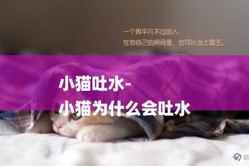 小貓吐水-
小貓為什么會吐水