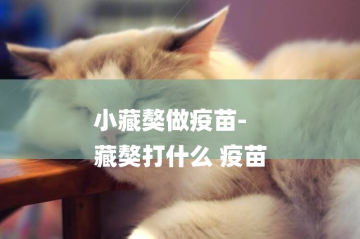 小藏獒做疫苗-
藏獒打什么 疫苗