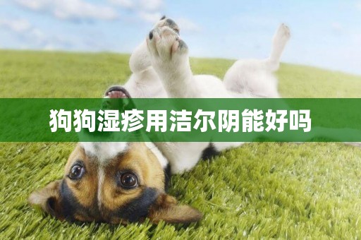狗狗濕疹用潔爾陰能好嗎