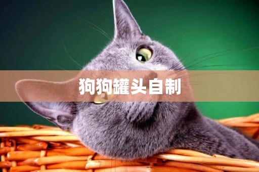狗狗罐頭自制