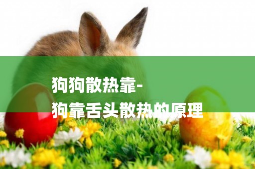 狗狗散熱靠-
狗靠舌頭散熱的原理
