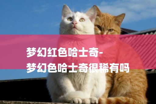 夢幻紅色哈士奇-
夢幻色哈士奇很稀有嗎