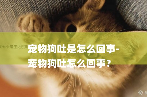 寵物狗吐是怎么回事-
寵物狗吐怎么回事？