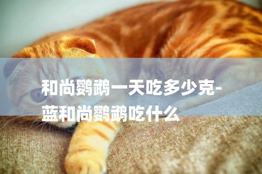 和尚鸚鵡一天吃多少克-
藍和尚鸚鵡吃什么
