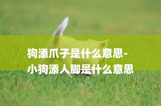 狗添爪子是什么意思-
小狗添人腳是什么意思
