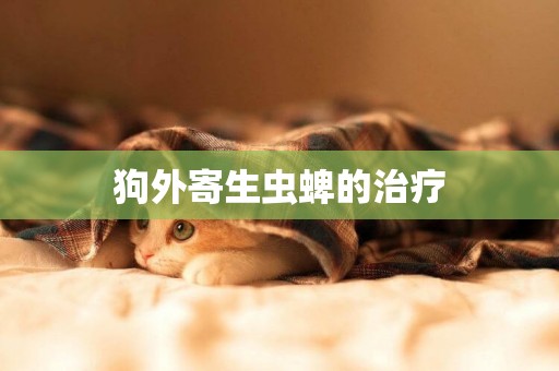狗外寄生蟲蜱的治療