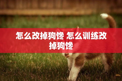 怎么改掉狗饞 怎么訓練改掉狗饞