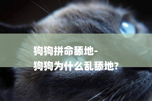 狗狗拼命舔地-
狗狗為什么亂舔地?