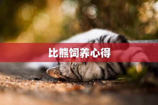 比熊飼養心得