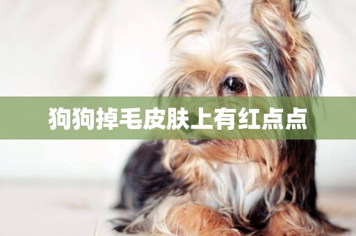 狗狗掉毛皮膚上有紅點點