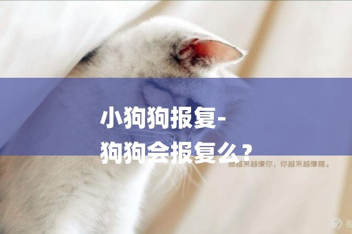 小狗狗報復-
狗狗會報復么？