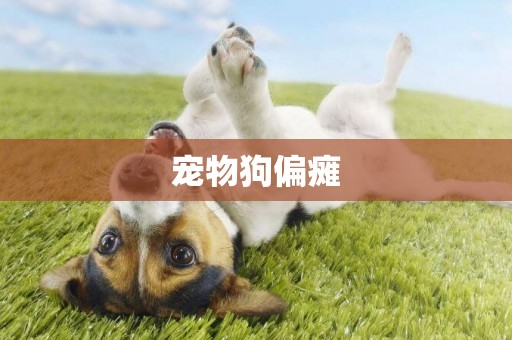 寵物狗偏癱