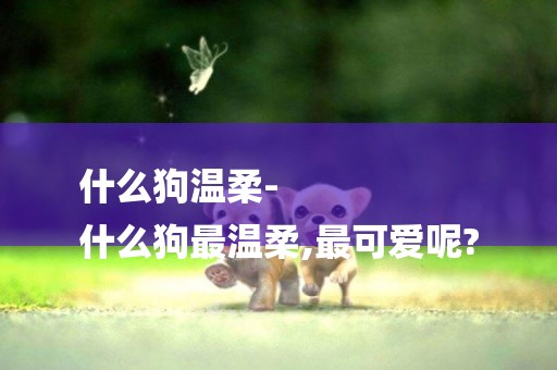 什么狗溫柔-
什么狗最溫柔,最可愛呢?