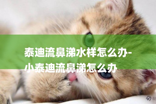 泰迪流鼻涕水樣怎么辦-
小泰迪流鼻涕怎么辦
