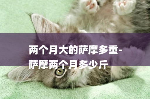 兩個月大的薩摩多重-
薩摩兩個月多少斤