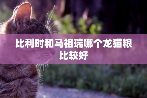 比利時和馬祖瑞哪個龍貓糧比較好