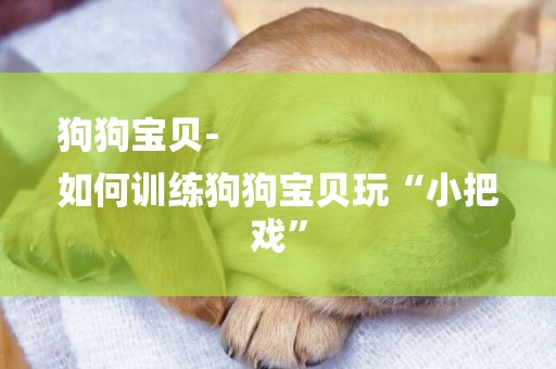 狗狗寶貝-
如何訓練狗狗寶貝玩“小把戲”