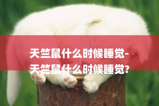 天竺鼠什么時候睡覺-
天竺鼠什么時候睡覺?
