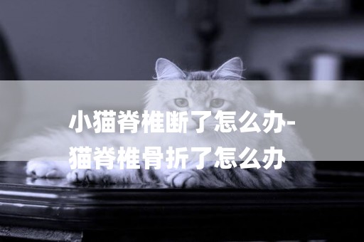 小貓脊椎斷了怎么辦-
貓脊椎骨折了怎么辦