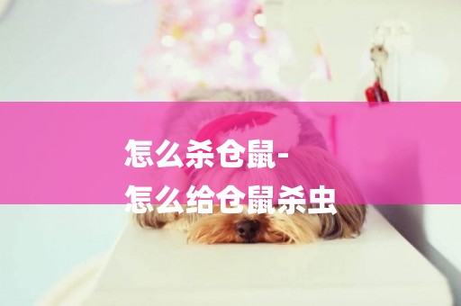 怎么殺倉鼠-
怎么給倉鼠殺蟲