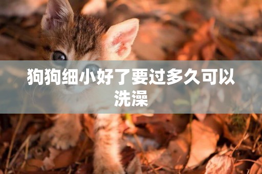 狗狗細小好了要過多久可以洗澡