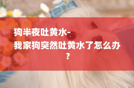 狗半夜吐黃水-
我家狗突然吐黃水了怎么辦？
