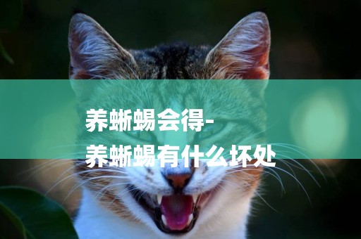 養蜥蜴會得-
養蜥蜴有什么壞處