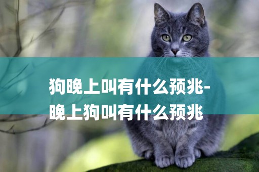 狗晚上叫有什么預兆-
晚上狗叫有什么預兆